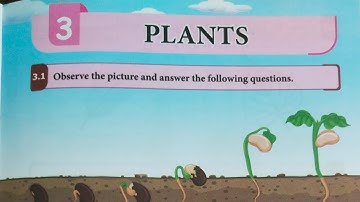 5th std Science Term 2 unit 3 workbook answers/ 5th science unit 3 Plants workbook answers 
