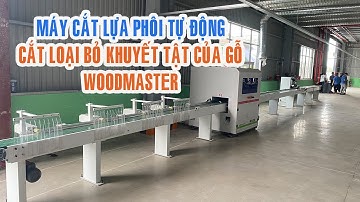 Máy cắt phôi vạch phấn, cắt gỗ tự động WM-S260 Woodmaster