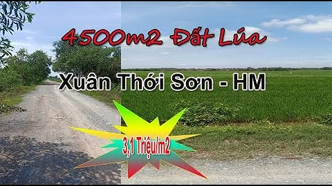 Bán Đất Hóc Môn | Đất Lúa Mặt Tiền  Bờ Kênh Hóc Môn 3,1 Triệu/m2