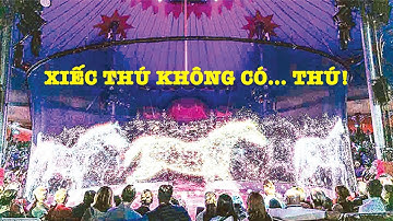 Xiếc thú không có… thú