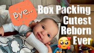 Box Packing Prototype Dany Reborn Baby Doll