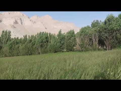 Afghanistan's Nature: a