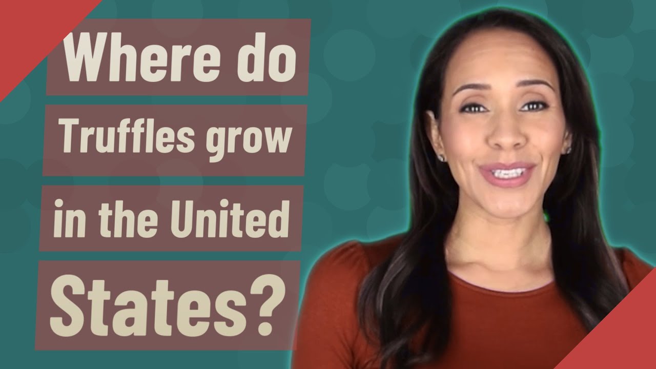 Where do Truffles grow in the United States?