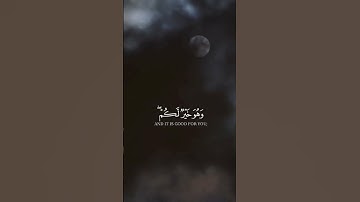 (وعسى أن تكرهوا شيئا وهو خير لكم) قرآن كريم بصوت راشد المشاري العفاسي