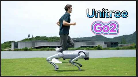 Introducing Unitree Go2 - Quadruped Robot of Embodied AI
