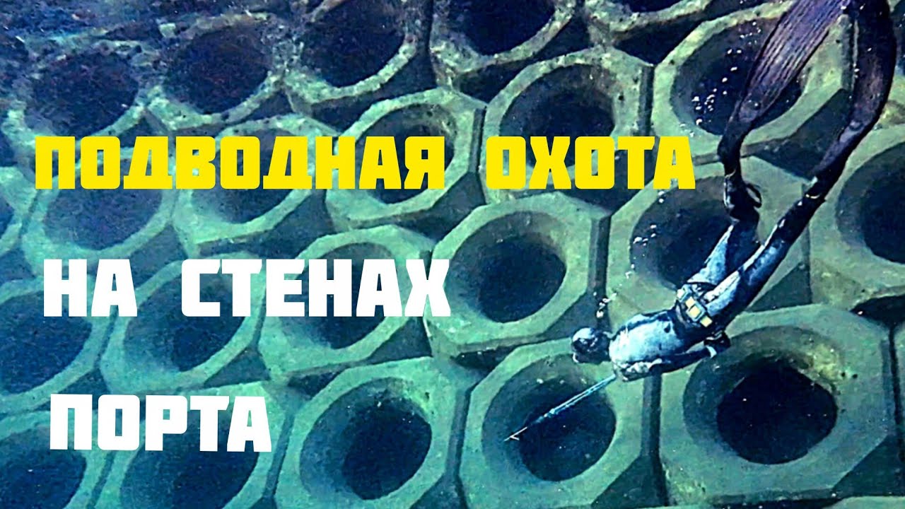 Подводная охота у стен Средиземноморского порта!