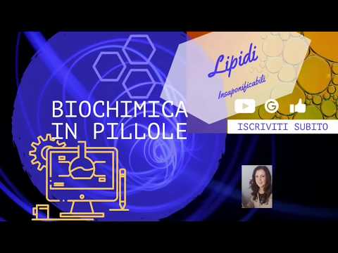 Video: Cosa significa lipidi non saponificabili?