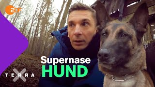 Supernasen. Polizeihunde auf Spurensuche | Terra X plus