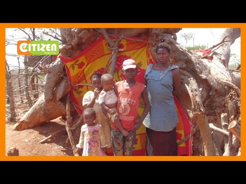 Mama Na Wanawe 6 Wanaishi Ndani Ya Gogo La Mti Huko Voi 