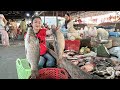 Market show buy 2 big river fish and ingredients for cooking  cooking with sreypov