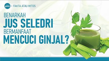 Apa Benar Daun Seledri Baik Untuk Kesehatan Ginjal? | Hidup Sehat tvOne