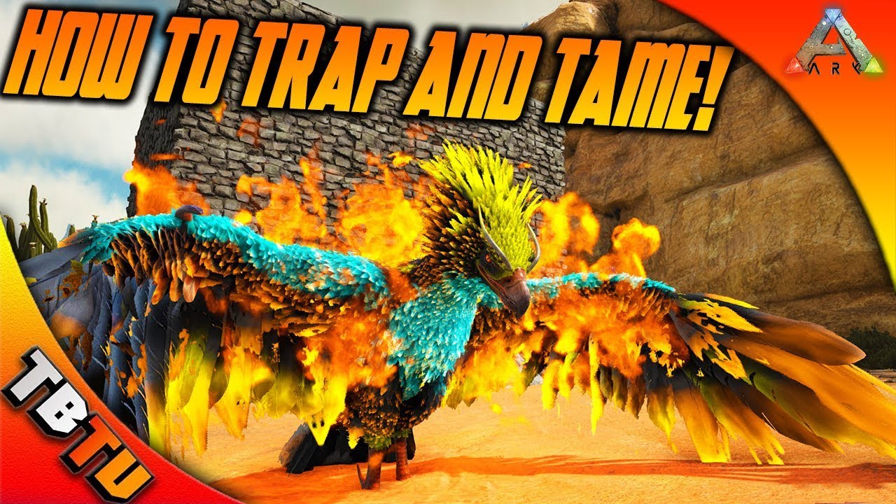 Ark Phoenix Taming How To Trap And Tame The Phoenix Phoenix Trap Taming Ark Survival Evolved Youtube