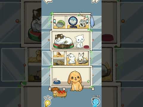 satisroom level 9