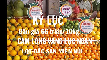 Ngày hội trái cây lục ngạn 2019 | những hình ảnh đẹp và ấn tượng nhất | đặc sản miền núi
