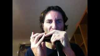 Besame Mucho - Armonica Cromatica ( Hohner CX12 ) chords