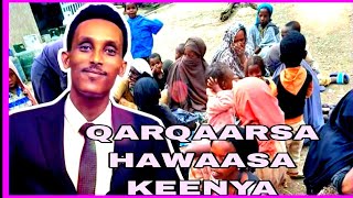 🛑 QARQAARSA HAWAASA KENYA KAN BELAWANIF 53!