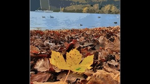 Introduction to using Artistic Filters on your photographs in Photoshop.