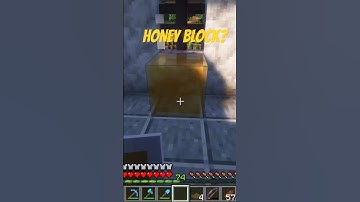 Have you EVER seen a HONEY block before? #minecraft #64bitrick