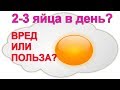 2-3 яйца в день ВРЕД или ПОЛЬЗА?