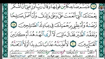 (04) تلاوة مباركة سورة النمل بصوت فضيلة الشيخ عبد الله بن عواد الجهني حفظه الله، الآيات: 19-22
