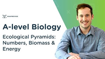 Ecological Pyramids: Numbers, Biomass & Energy | A-level Biology | OCR, AQA, Edexcel