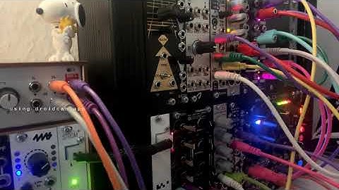 Microbrute Madness, feat. Bastl Timber Waveshaper