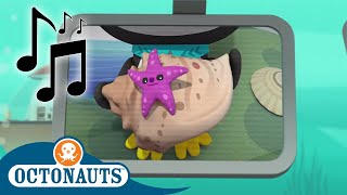 Octonauts - Starfish and Other | Cartoons for Kids | Creature Reports 🎵
