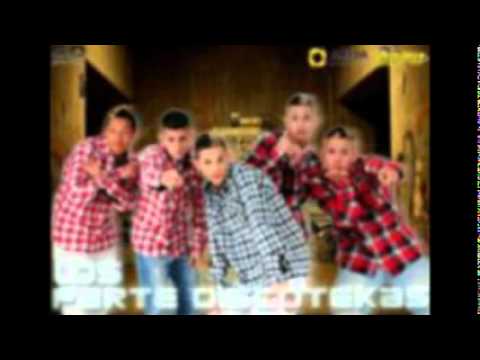 Video de Los Parte Discotekas