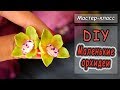 DIY ❤ Маленькие орхидеи ❤ Лепка цветов ❤ Создание украшений ❤ Полимерная глина