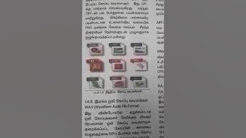 12th  computer application multimedia-file formats image and audio formats (TM) by SA