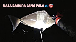 Ep 35 Night Spearfishing Philippines Nasa Bahura Lang Pala Jasper Tv