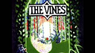 The Vines Factory chords