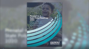 2020 Prenatal to 3 State Policy Roadmap Overview