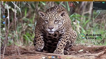 Amarok Linux 1.0 Run Through