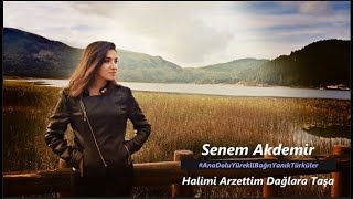 Senem Akdemir  || Halimi Arzettim Dağlara Taşa || Resimi