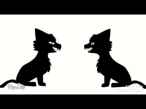 camera iphone 8 plus apk DO YOU, MEME [REMAKE]
