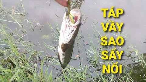 Lure cá lóc, Các cao nhân cho em lời khuyên, chứ em lure toàn sẩy || Câu cá thiên nhiên