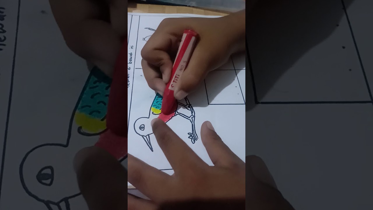 Mewarnai gambar burung 