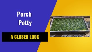 Honest Dog Mom Review of Porch Potty