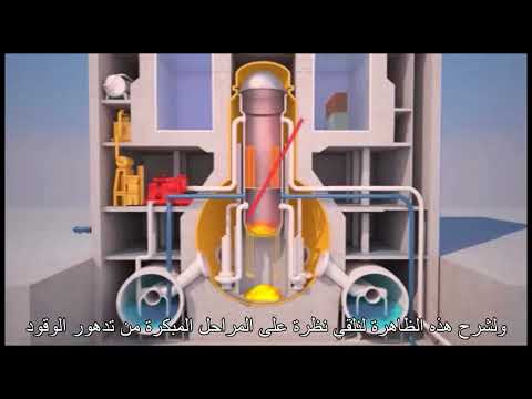 تسلسل أحداث كارثة فوكوشيما النووية مترجم      