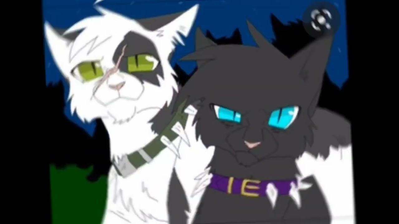 костяк и бич коты. коты воители звездоцап. коты воители бич и костяк арт. костяк и бич коты. костяк и бич коты.