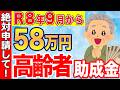 【申請しないと大損!】政府から高齢者へ58万円支給!申請すれば得する制度5選を紹介!【給付金/助成金】