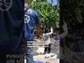 After cleaning Muncar’s rivers, we’ve seen it’s more than just plastic—regulations are needed!