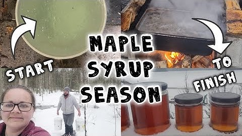 START TO FINISH - Our Maple Syrup Season 2024 | Ontario, Canada