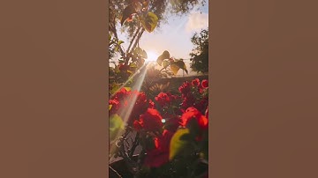 يَا أَيُّهَا النَّاسُ اذْكُرُوا نِعْمَتَ اللَّهِ عَلَيْكُمْ ۚ... #سورة فاطر