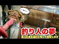 釣り人の夢！獲った魚を本気で飼育する！帰宅後に気づいた“かすかなSOS”
