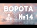 Ворота №14 в дизайне человека