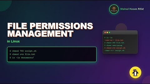 Linux File Permissions Management - chmod 755, 644 Tutorial