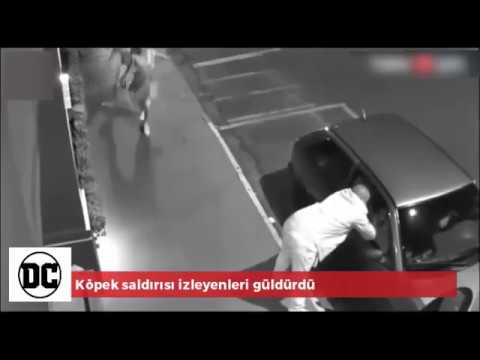 Köpek saldırısı izleyenleri güldürdü