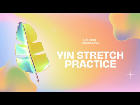 Yin Stretch Practice